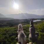 Rune&Baikal Contemplation